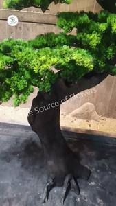 Árbol de <span class=keywords><strong>Cedro</strong></span> Personalizado Directo de Fábrica, Personalización OEM y ODM, Podocarpus, Bonsái Artificial Grande para Interiores y Exteriores - Product Image 5