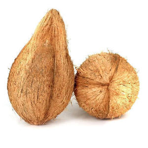 Vietnam-Delta-El MEJOR PRECIO DE COCO semicubierta seco para uso alimentario - Product Image 4