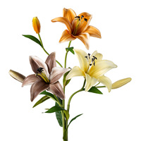 Bunga Lily Kecil PU Buatan untuk Dekorasi Pernikahan, Rumah, Kantor, Restoran, Hotel, dan Penggunaan Lintas Negara