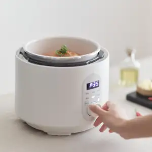 Home Appliance 3L Electrical Multi Cooker Multifunctional Soup Rice Cooker Electric Pressure Cookers