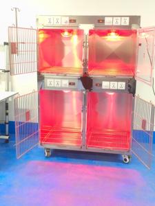 Cage <span class=keywords><strong>pour</strong></span> chien et <span class=keywords><strong>chat</strong></span> en acier inoxydable vétérinaire avec serrure et roulettes - Cage <span class=keywords><strong>pour</strong></span> animaux robuste, respirante et classique - Product Image 3