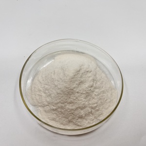 ราคาคุ้มค่า คุณภาพสูง ผงเอนไซม์เซราเพปเทส เซราทิโอเพปไทด์เอส - Product Image 3