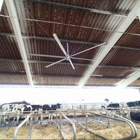 Ventilateur de plafond industriel de grande taille 24ft 20ft 18ft 16ft 14ft – Vente chaude – Refroidissement industriel de l'air