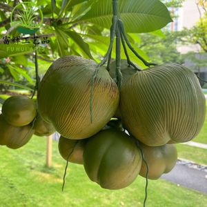 มะพร้าวจำลองเสมือนจริง ของตกแต่งธีมมะพร้าว มะพร้าวปลอมสำหรับตกแต่ง ของตกแต่งรูปทรงมะพร้าวสำหรับจัดแสดง - Product Image 2