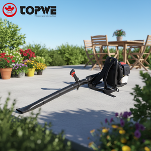 เครื่องเป่าใบไม้แบบสะพายหลัง TOPWE Low Moq รุ่น 43cc ใช้เชื้อเพลิงเบนซิน กำลังแรง พร้อมการรับประกัน - Product Image 1