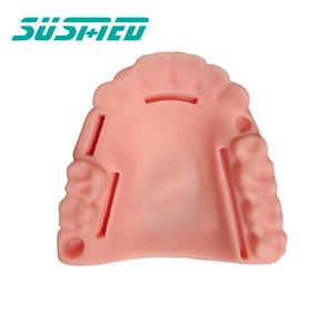 Modello di ausili didattici in Silicone modello dentale per studenti di medicina modello dentale - Product Image 4