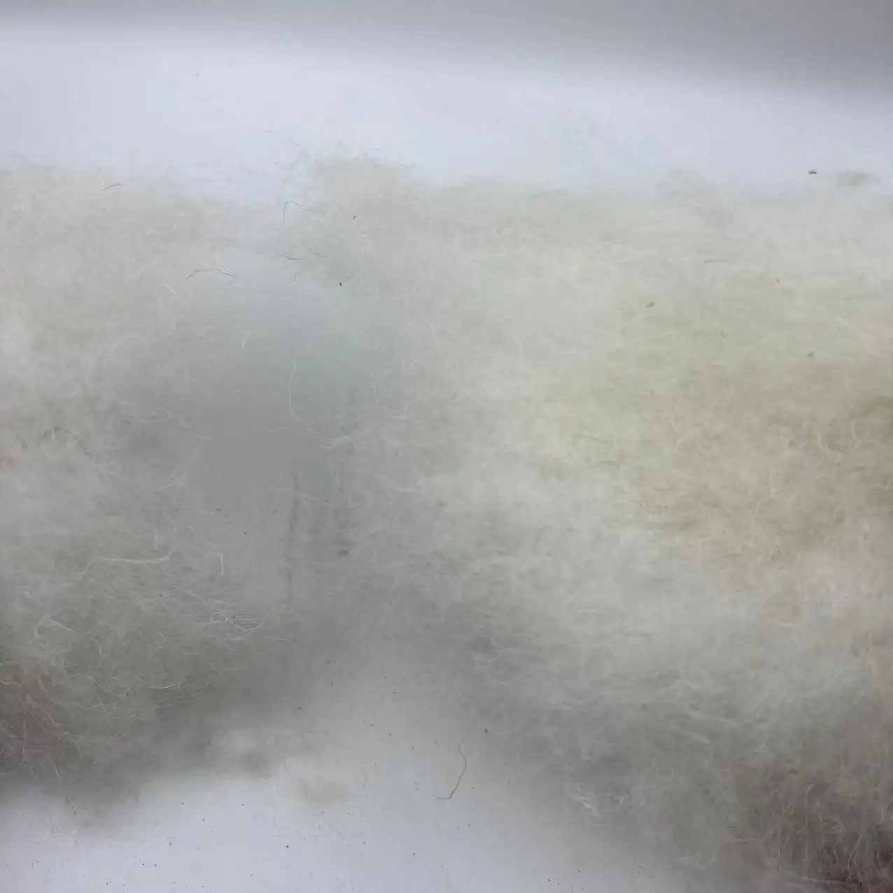 Noils de lana de desecho de lana de Cachemira de Venta caliente con precio al por mayor