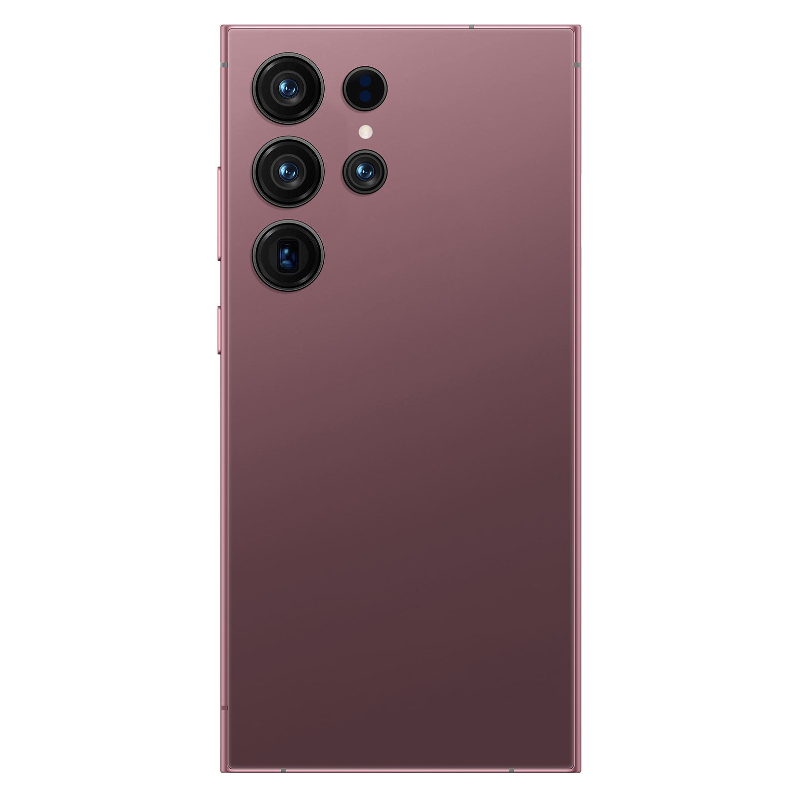 ไทเทเนียมโรส