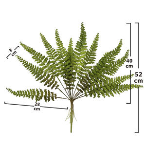 13 feuilles de fougère persane en or de haute qualité exportées au Vietnam meilleur prix compétitif en <span class=keywords><strong>2022</strong></span> avec de nombreux avantages - Product Image 1