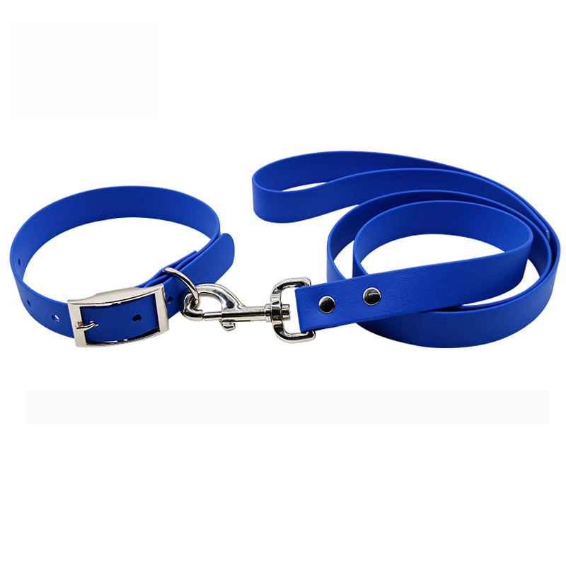 Blue leash