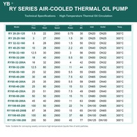 Pompa Oli Termal Berpendingin Udara RY100 65 200B 87 M3H 38 M 15 KW Pompa Transfer Oli Panas Dengan Motor untuk Pabrik Petrokimia