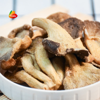Chips de Hongo Ostra Secos de Nueva Cosecha, Hongo VF, Hongo Frito al Vacío, Hongo Crujiente