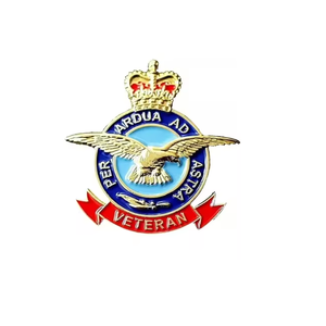 Nouvelle tendance RAF Souvenir Badge populaire UK Remembrance Day Épinglette en émail doux - Product Image 3