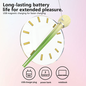เครื่องสั่นกระตุ้นช่องคลอดและคลิตอริสแบบไร้สาย กันน้ำ IPX7 ชาร์จผ่าน USB ได้ พร้อม 10 ระดับความถี่ - Product Image 6