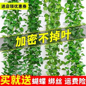 Vignes artificielles raffinées de type Pothos, 10cm-30cm, feuilles en plastique, ensemble de décoration murale - Product Image 2