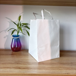 Sacs en papier kraft blanc biodégradables écologiques à faible MOQ 2026 pour l'emballage de champagne, d'aliments et de gâteaux avec votre propre design - Product Image 2