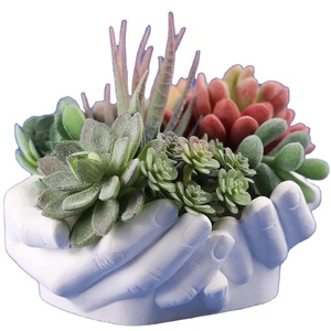 Molde de silicona de cemento para maceta de flores en forma de mano, arcilla de hormigón, molde para maceta suculenta, plato de resina, molde de almacenamiento de joyería, 14093 - Product Image 1