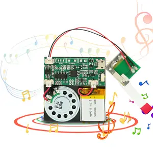 コンピューター用の高音質USBオーディオサウンドモジュール録音可能および充電可能な音楽音声チップグリーティングカードバージョン