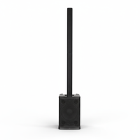 Enceinte colonne active 12 pouces avec subwoofer en ferrite, amplification bi-amp Classe D, DSP et TWS pour DJ, événements mobiles et location en gros