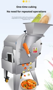 เครื่องหั่นผักสแตนเลส 380V แบบหั่นชิ้นเดียวสำหรับโรงงานแปรรูปผัก - Product Image 1