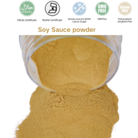Poudre d'ingrédient alimentaire aromatisant : Sauce soja en poudre, assaisonnement en gros, sauce soja fermentée déshydratée