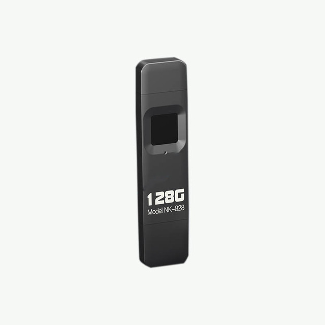 Oem High-Speed Identification Finger Print Flash Drive Usb Fingerprint Usb Finger Print Usb for Laptop Pc