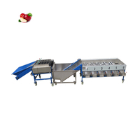 Fruit Kalibratie Machine Fruit Kersentomaat Ui Sorteermachine Appel Gewicht Sorteermachine