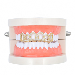 Modelo Dental Estándar para Entrenamiento, Otros Equipos Dentales en Oferta - Product Image 6