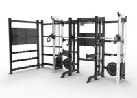 Système de poulies empilées à double poids Rizhao avec bras Tornado pour rack de musculation, conçu pour les salles de sport professionnelles.