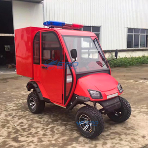 Carrito de Golf Eléctrico de 2 Plazas, Diseño Nuevo, Personalizado, Exportado a Estados Unidos, en Venta - Product Image 4