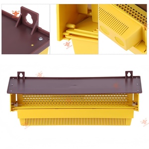 Trampa de Polen de Plástico, Equipo de Apicultura Integrado, Estilo Americano, 1 Unidad - Product Image 4