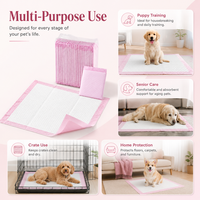 Tapis d'apprentissage de la propreté pour chiots OEM, absorbants rapidement, anti-fuites, jetables, pour chiens, fournisseur en gros