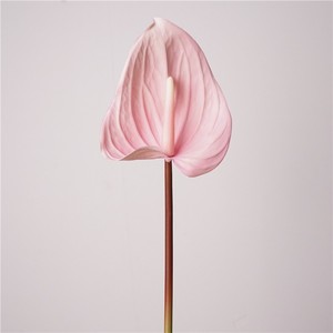 Fleurs artificielles d'Anthurium de <span class=keywords><strong>style</strong></span> moderne de haute qualité en PVC souple, faites à la main, réalistes et très réalistes pour la décoration de la maison et de mariage - Product Image 5