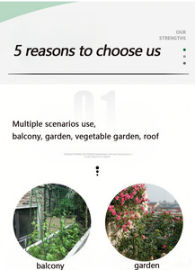 Maceta Clásica y Duradera MQ G03FU001 con Tiras de Alambre de Acero y Plástico para Uso Doméstico - Product Image 2