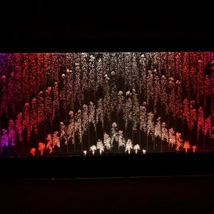 Vách Ngăn Bong Bóng Nước Kỹ Thuật Số 8ftX5ft, Vách Ngăn Bong Bóng Nước Có Thể Lập Trình Được - Product Image 1