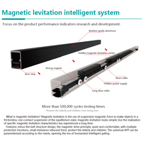 Levitasi magnetik pintu geser otomatis, rumah interior kantor aplikasi telepon remote control kaca pintar sensor pintu otomatis