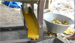 Machine à pulper les fruits <span class=keywords><strong>de</strong></span> qualité alimentaire, machine à pulper les fruits <span class=keywords><strong>de</strong></span> <span class=keywords><strong>la</strong></span> <span class=keywords><strong>passion</strong></span>, extracteur <span class=keywords><strong>de</strong></span> pulpe <span class=keywords><strong>de</strong></span> fruits - Product Image 6