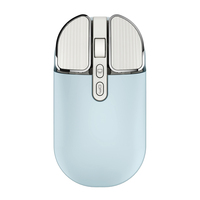 Personnalisé Slim Ergonomique pour Apple Mouse avec LED Rétro-éclairé Rechargeable Sans Fil pour Bluetooth pour Ordinateurs Portables Compatible TYPE-C
