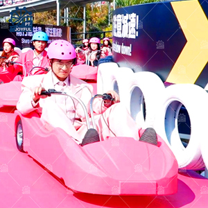 รถลูจดาวน์ฮิลล์สีสันตามสั่งสำหรับสวนสนุก - Product Image 5