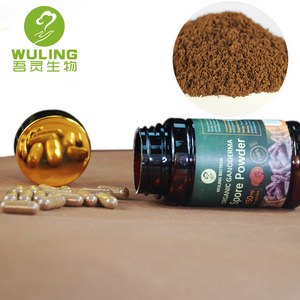 suplementos herbales productos para la salud ganoderma lucidum esporas en polvo suplemento antienvejecimiento Formación sin Hábi - Product Image 2