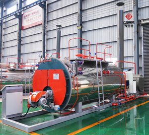 Caldera <span class=keywords><strong>de</strong></span> Vapor <span class=keywords><strong>de</strong></span> Gas y Petróleo Montada sobre Plataforma Kingder Industrial WNS <span class=keywords><strong>de</strong></span> 10 Toneladas/H para Producción Industrial a Gran Escala y <span class=keywords><strong>Calefacción</strong></span> Central - Product Image 2