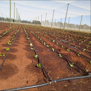 Kit de système complet de ruban de <span class=keywords><strong>tuyau</strong></span> d'irrigation <span class=keywords><strong>goutte</strong></span> <span class=keywords><strong>à</strong></span> <span class=keywords><strong>goutte</strong></span> de 100 hectares 2000 <span class=keywords><strong>16</strong></span> diamètre 300Mm espacement bande d'irrigation <span class=keywords><strong>goutte</strong></span> <span class=keywords><strong>à</strong></span> <span class=keywords><strong>goutte</strong></span> <span class=keywords><strong>à</strong></span> sortie unique - Product Image 4