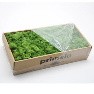 Wholesale Natural Stabilized Decorative Preserved <strong>Moss</strong> Natural Green Plants Preserved <strong>Moss</strong> for Decorative - Product Image 1