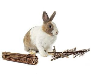Willow <span class=keywords><strong>Mega</strong></span> Munch Sticks Conejos Chinchilla Cobayas Pequeño Animal Treat Chew Stick Juguetes - Product Image 2