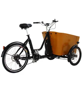 250w 36V 13Ah Europe Electric cargo trike new design three wheels electric family tricycle