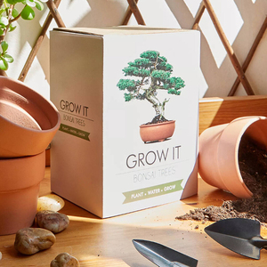 Kit de inicio de jardín interior de estilo rural, casa de árbol de bonsái DIY, macetas para cultivo de plantas, maceta, maceta para vivero, escritorio embalado en cartón - Product Image 5