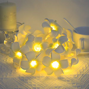 Luces LED de Girasol <span class=keywords><strong>RYM</strong></span>, Blanco Cálido, 80 CRI, Material de PVC, IP65, Impermeables, Decoración Navideña para Interiores y Exteriores, Funciona con Batería, 10-40 Piezas - Product Image 4
