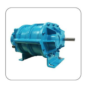 เครื่องเป่าลมแบบหมุน MD Pneumatics รุ่น CP Series แบบดิสเพลสเมนต์เชิงบวก ทำจากเหล็กหล่อ ความเร็ว 1725 รอบต่อนาที แรงดันต่ำ ใช้ลม - Product Image 3