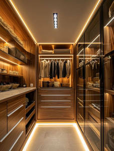 Armario con Puerta de Vidrio de Lujo Ligero 2024, Precio de Fábrica, Armario con Puerta de Vidrio para Dormitorio y Guardarropa - Product Image 6