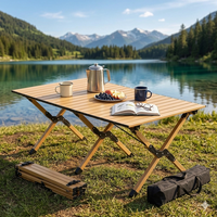 Table pliante moderne en acier au carbone, petite, portable, pour camping et pique-nique en extérieur, avec roulettes